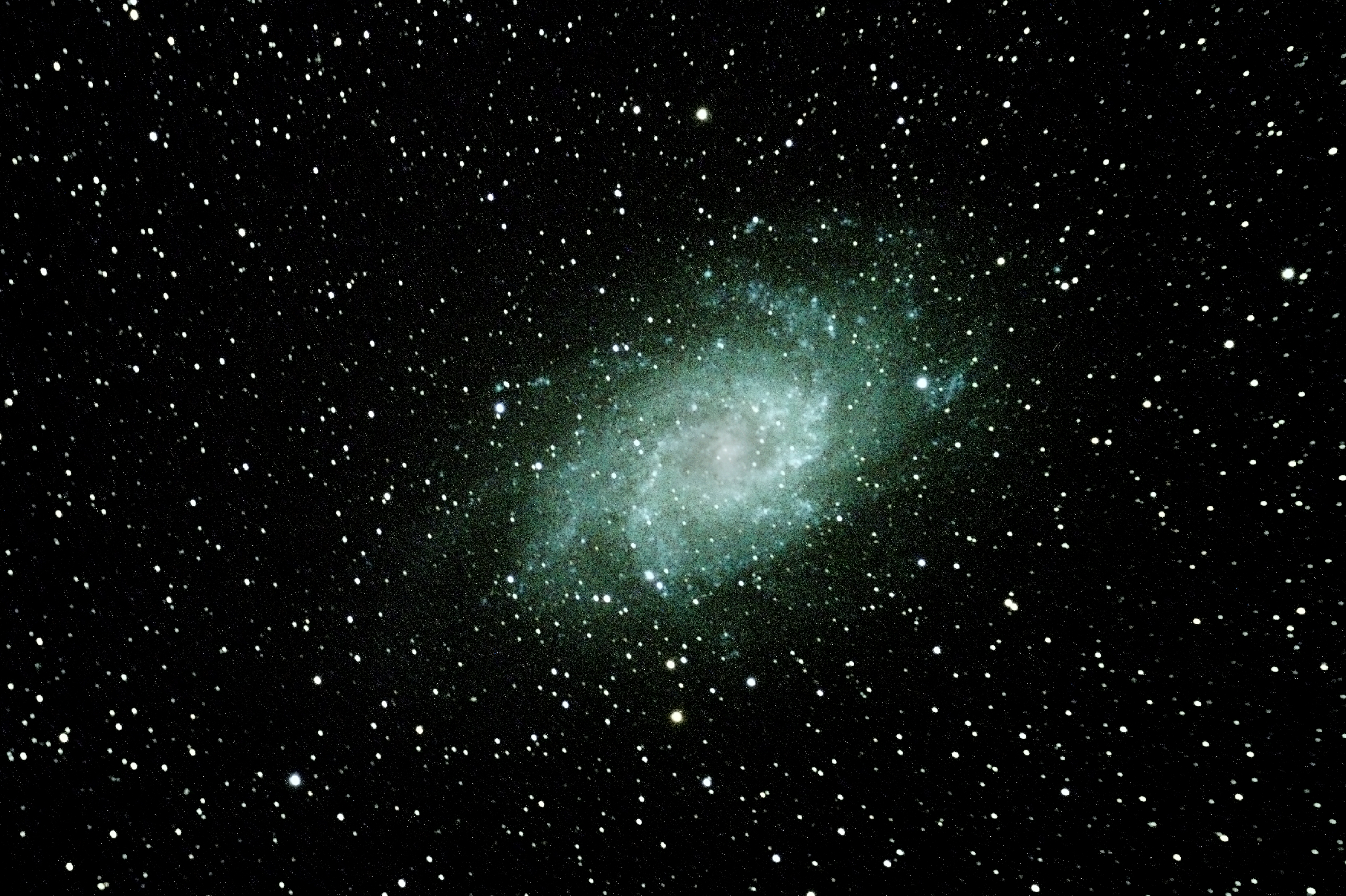 M33,