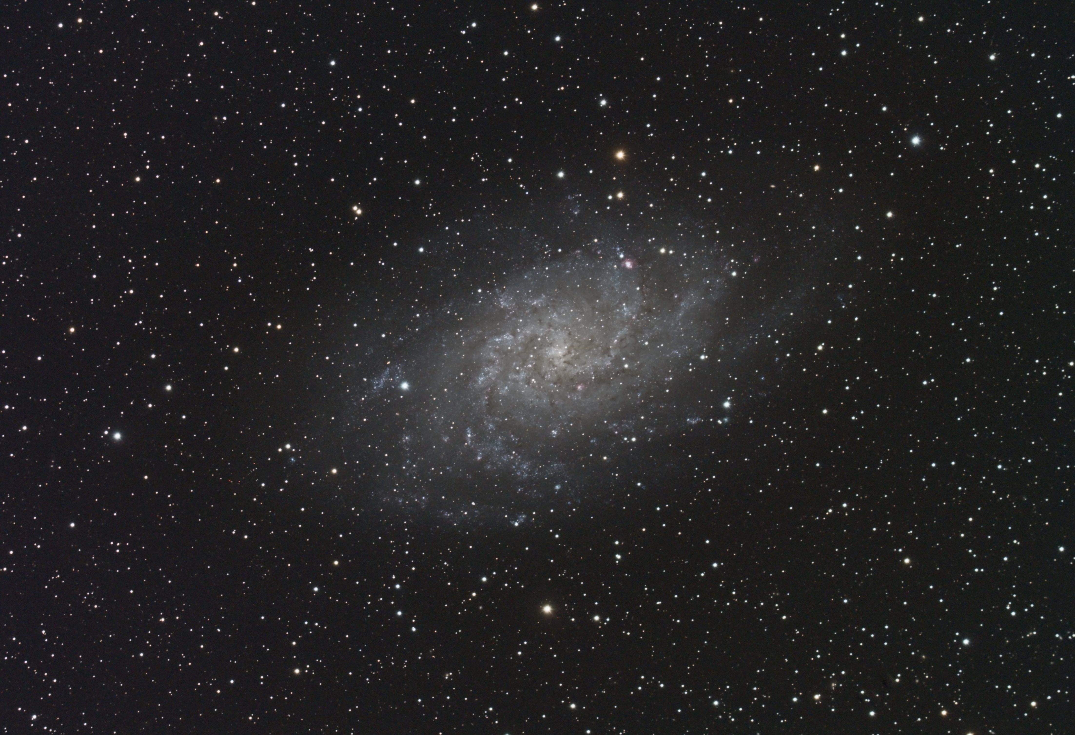 M33,