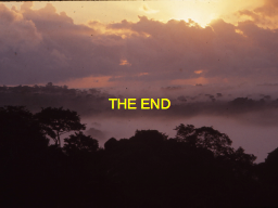 Slide 33