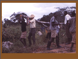 Slide 10